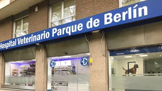 Mamparas de oficinas Hospital veterinario Parque Berlin