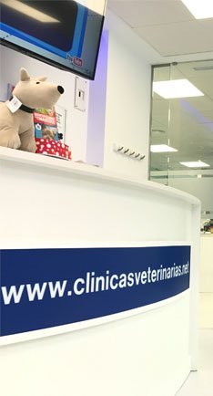 Hospital veterinario Madrid