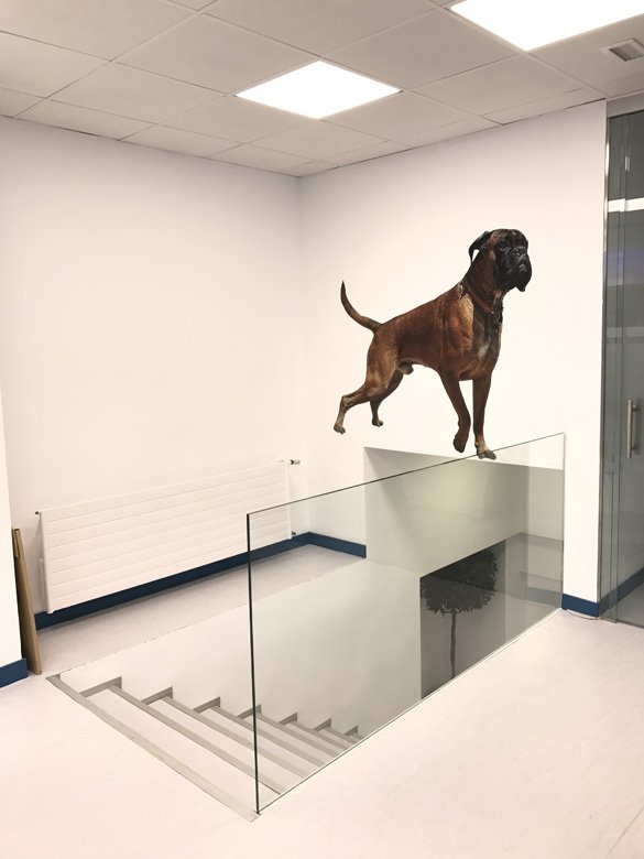 Hospital veterinario Madrid